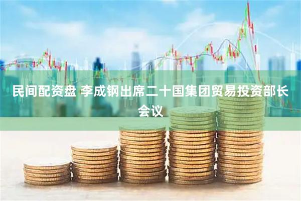 民间配资盘 李成钢出席二十国集团贸易投资部长会议